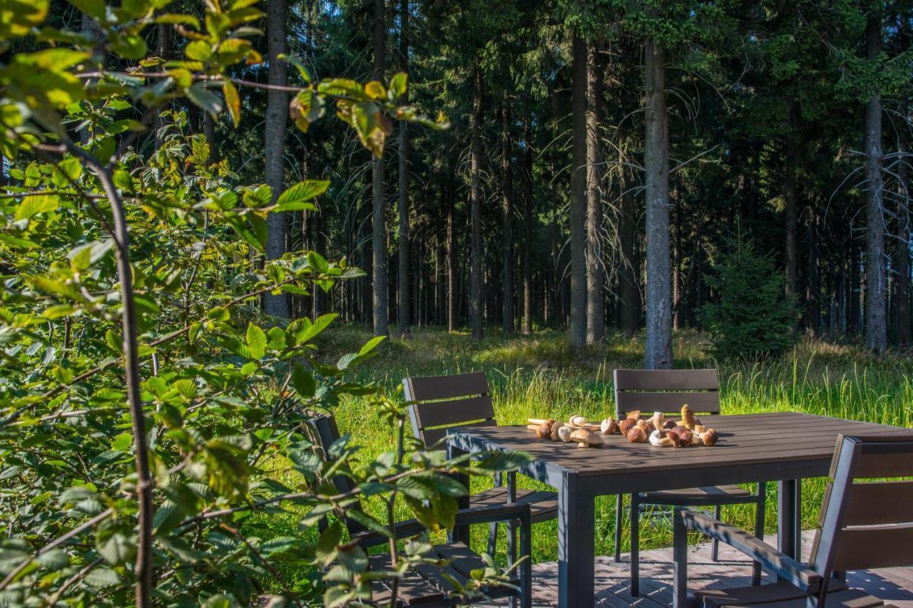 Hotel Kralovka Bedřichov エクステリア 写真
